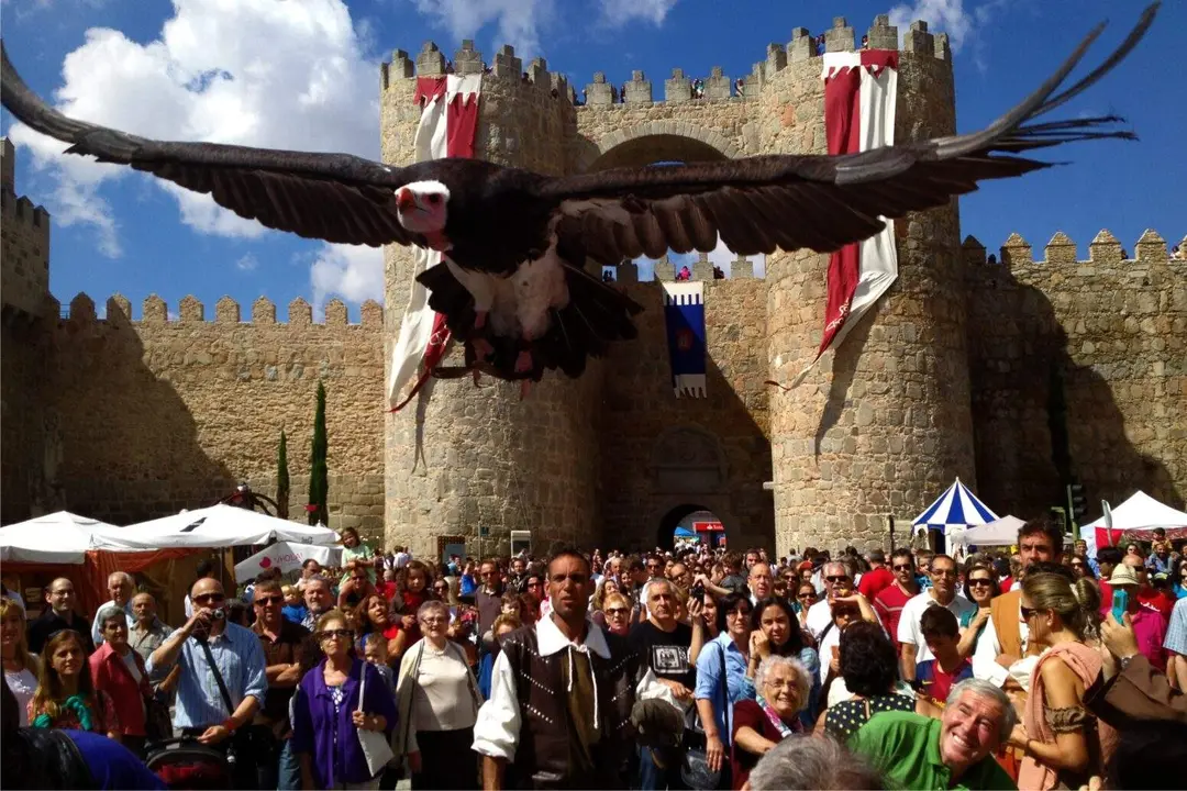 Jornadas Medievales vía avilaturismo.com