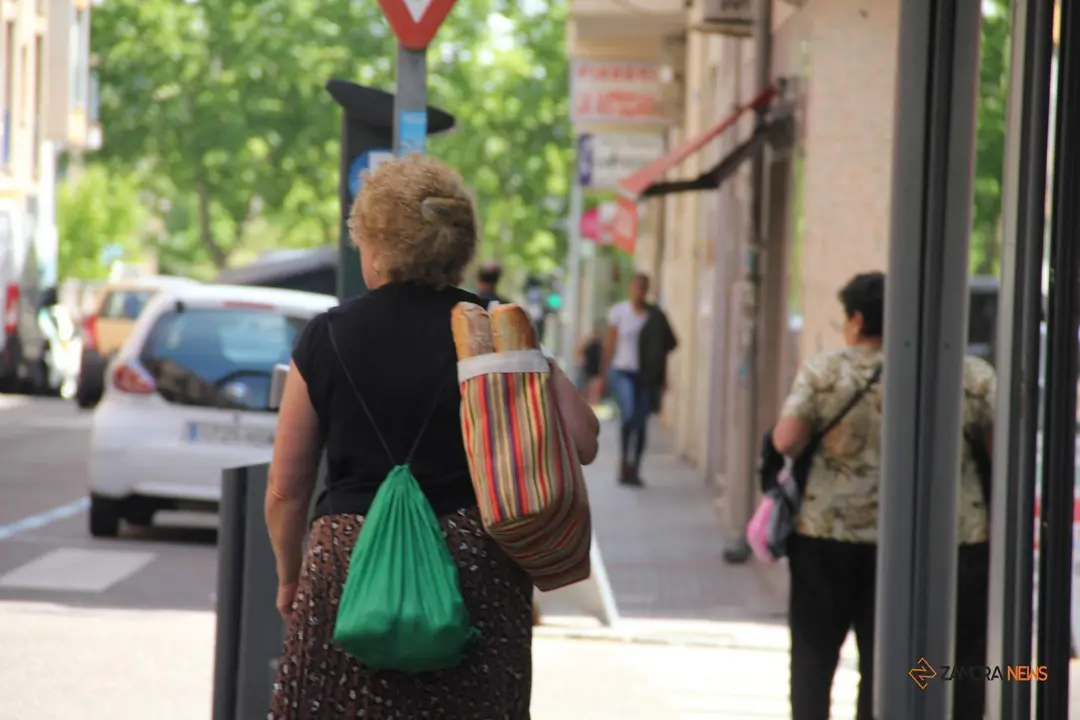 Mujer cargando con bolsas de la compra