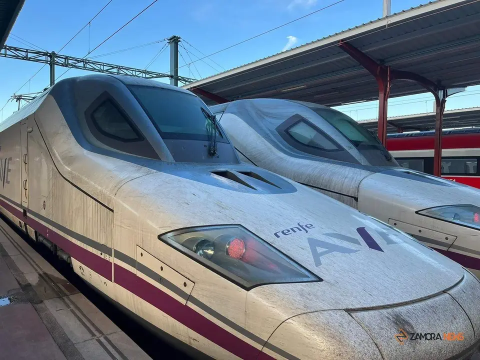 Tren Renfe en la estación de Zamora