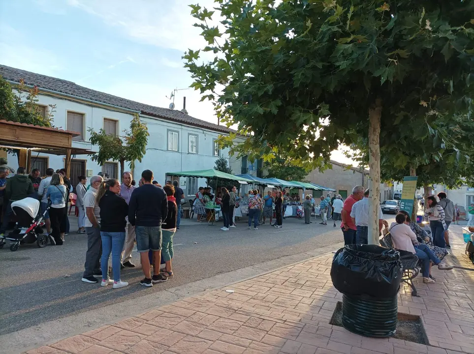 Mercadillo Solidario El Pego 15