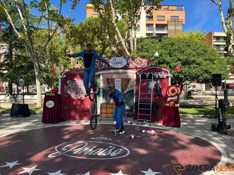 esèctáculo circo _20