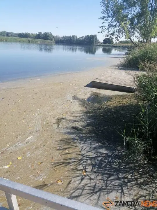 Peces muertos en el río Duero a su paso por Villaralbo