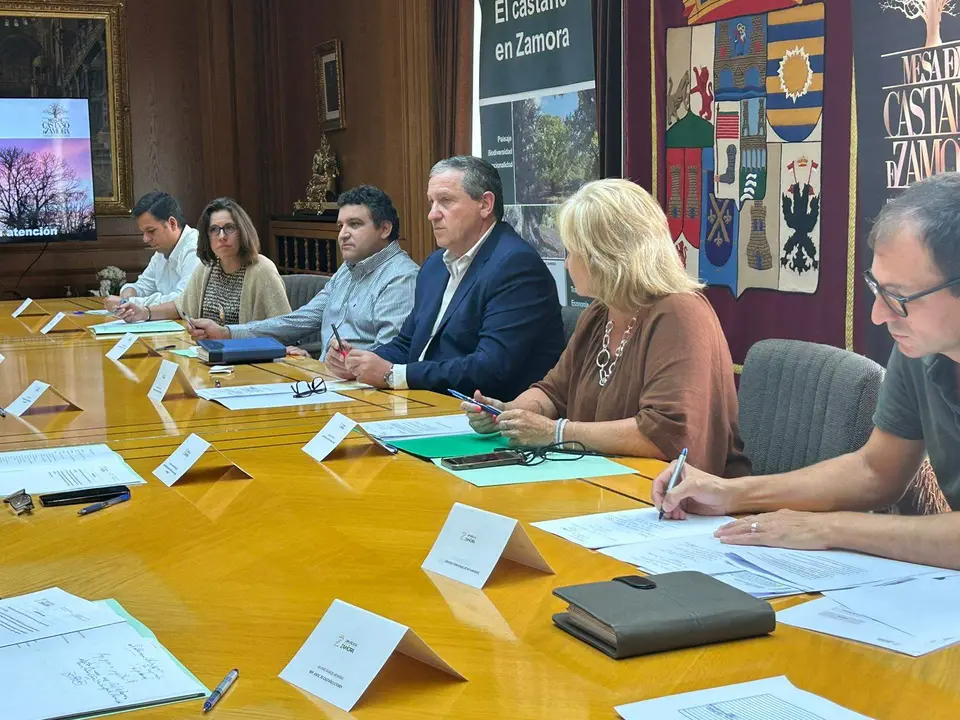 Reunión Mesa del Castaño