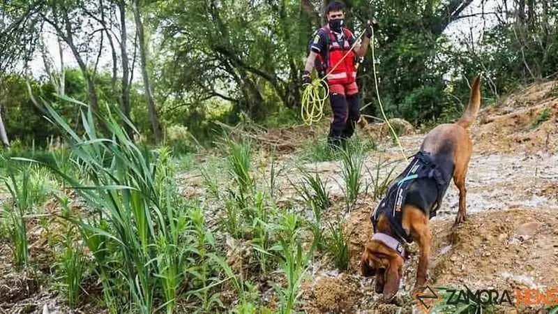 Unidad Canina de Rescate y Salvamento “UCAS de Arrate”