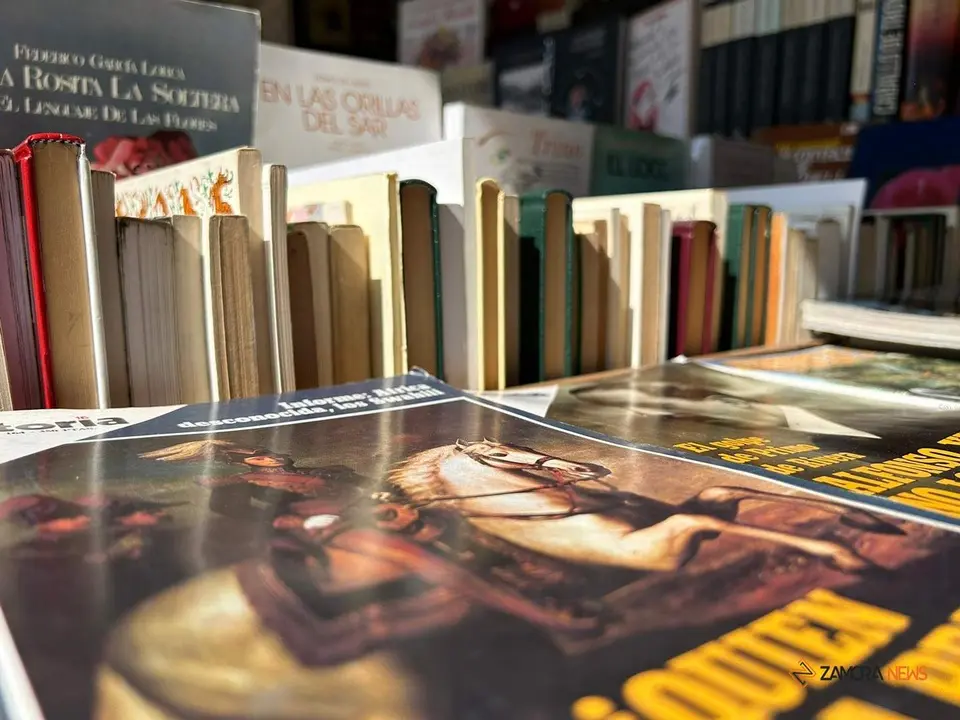 Feria del Libro Antiguo_2