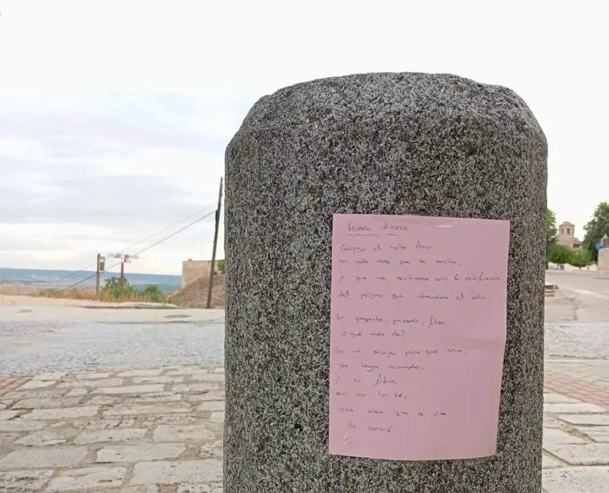 Poesía en Toro (1)