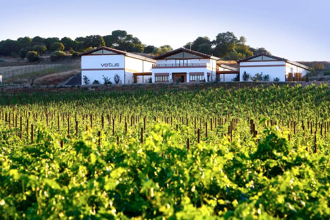 Bodega Vetus
