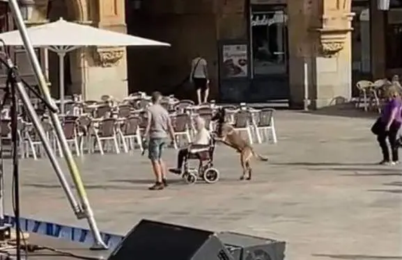 Imagen del vídeo grabado por Arde Bogotá