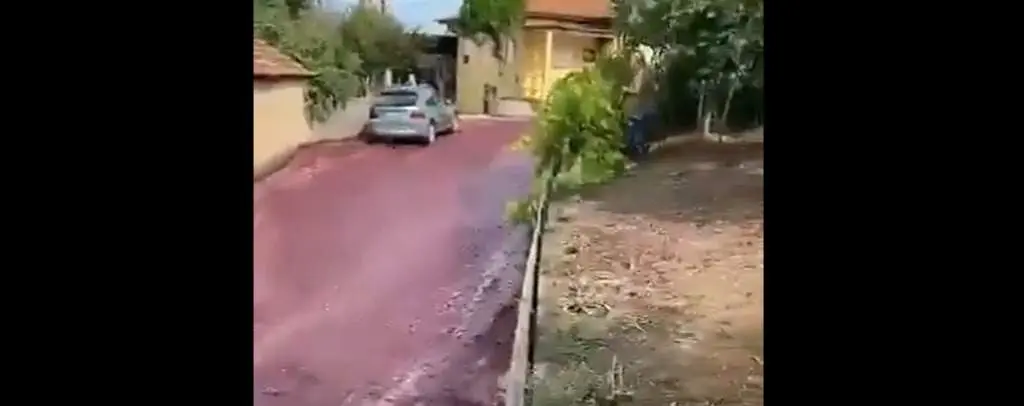 La exposición de una bodega llena de vino tinto las calles de un pueblo portugués