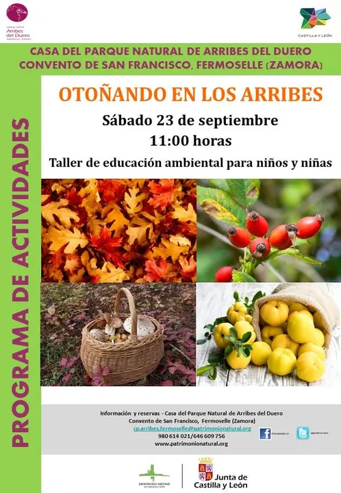 otoño FERMOSELLE 23