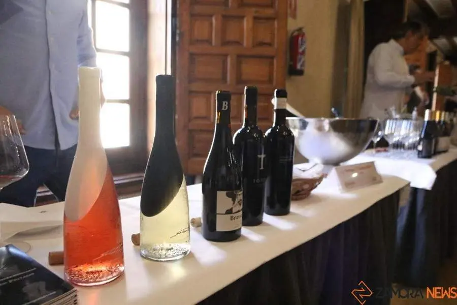 degustación de vinos_9