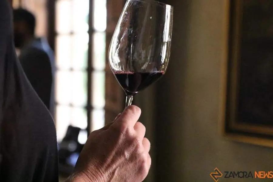 degustación de vinos