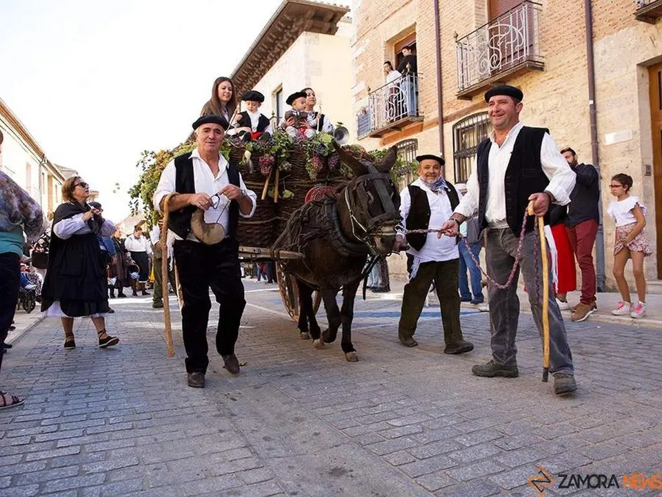 Fiesta de la vendimia toro