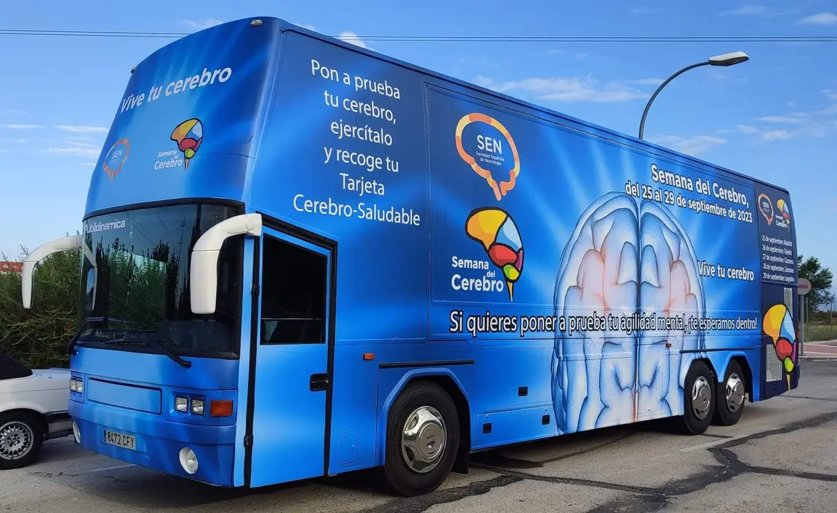 autobús del cerebro