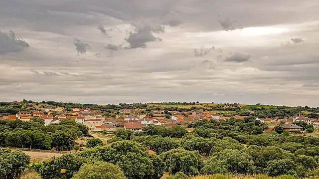 Pino de Oro
