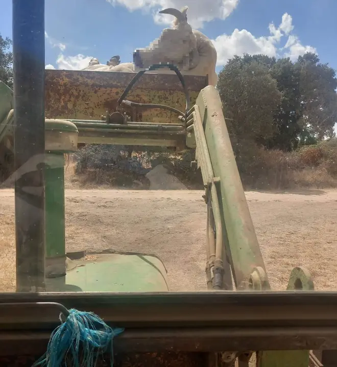 Una de las bajas de ganado vacuno por la EHE en una explotación ganadera de Piñuel. Fotografía: CEDIDA