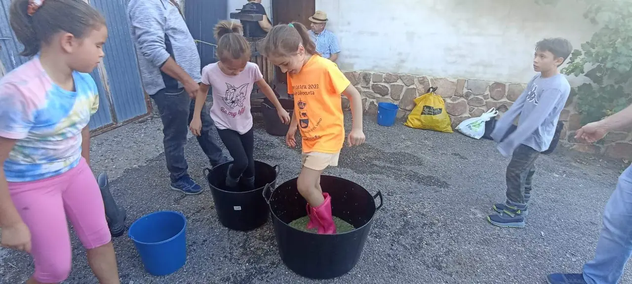 Fiesta de la Vendimia (2)