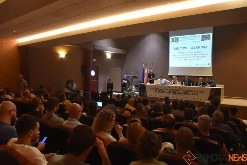 XII Symposium Internacional  (1)