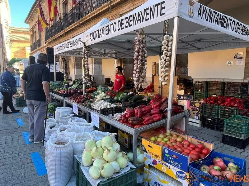 Feria del Pimiento de Benavente (11)