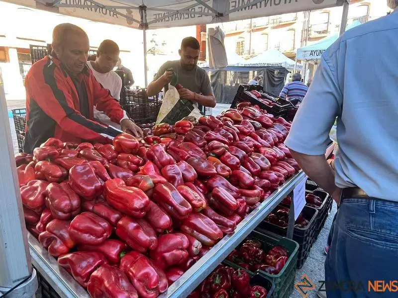 Feria del Pimiento de Benavente (7)
