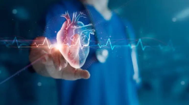 Salud cardiovascular