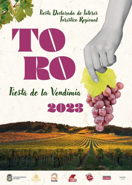 Cartel, fiesta de la vendimia Toro