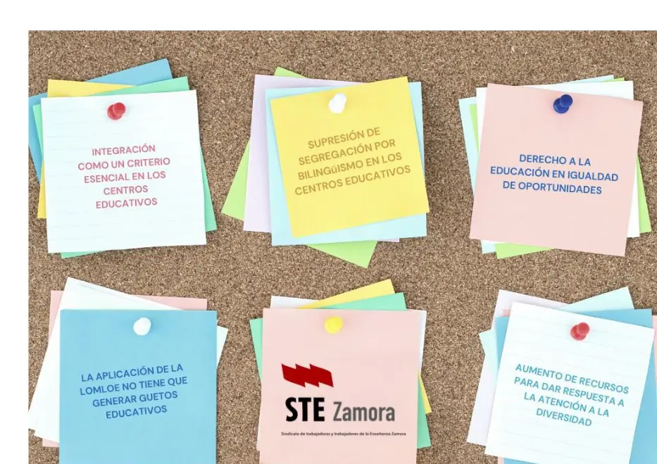 STEZamora