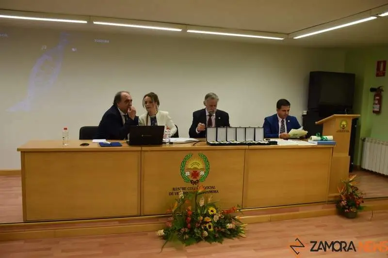 Colegio de Veterinarios de Zamora (3)