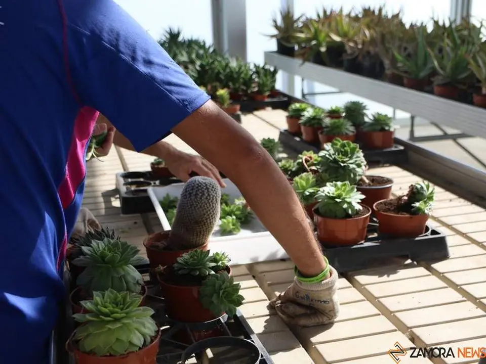 Visita Centro Ocupacional de la Fundación Personas_7
