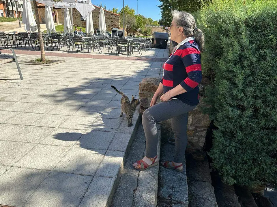 La alimentadora felina del IES Río Duero junto a "La niña". Fotografía : CEDIDA