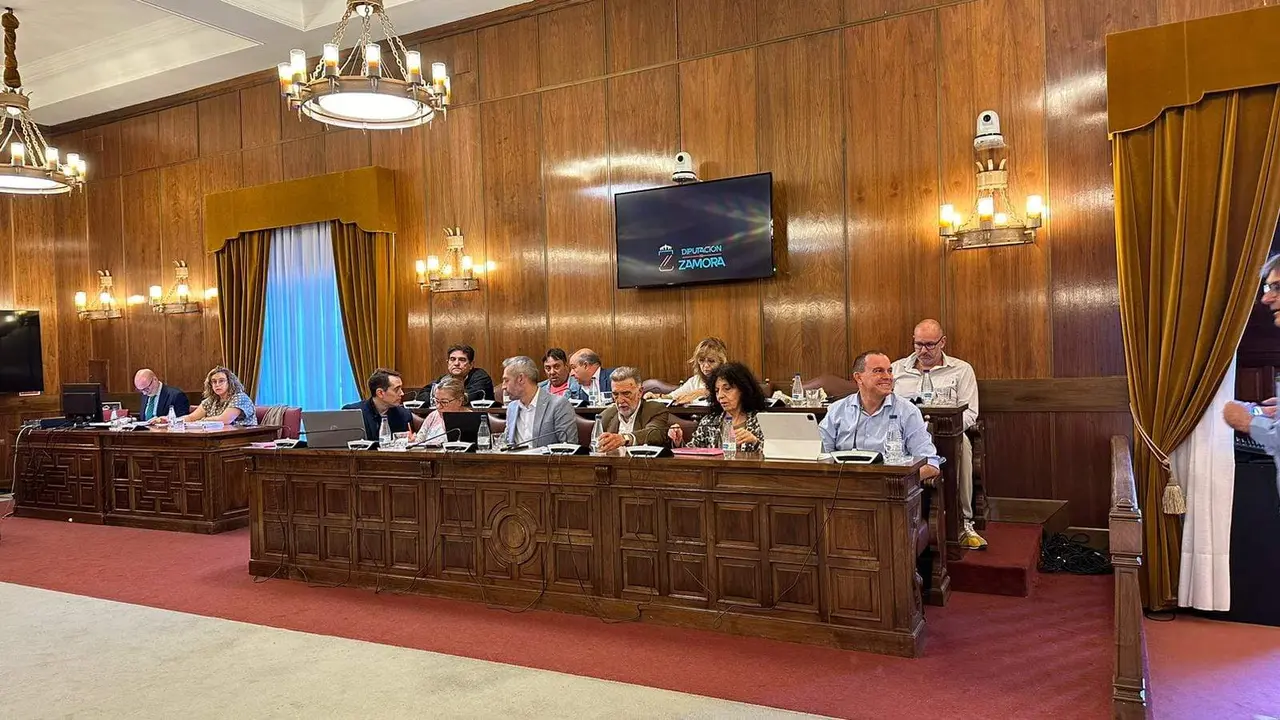 Pleno Diputación