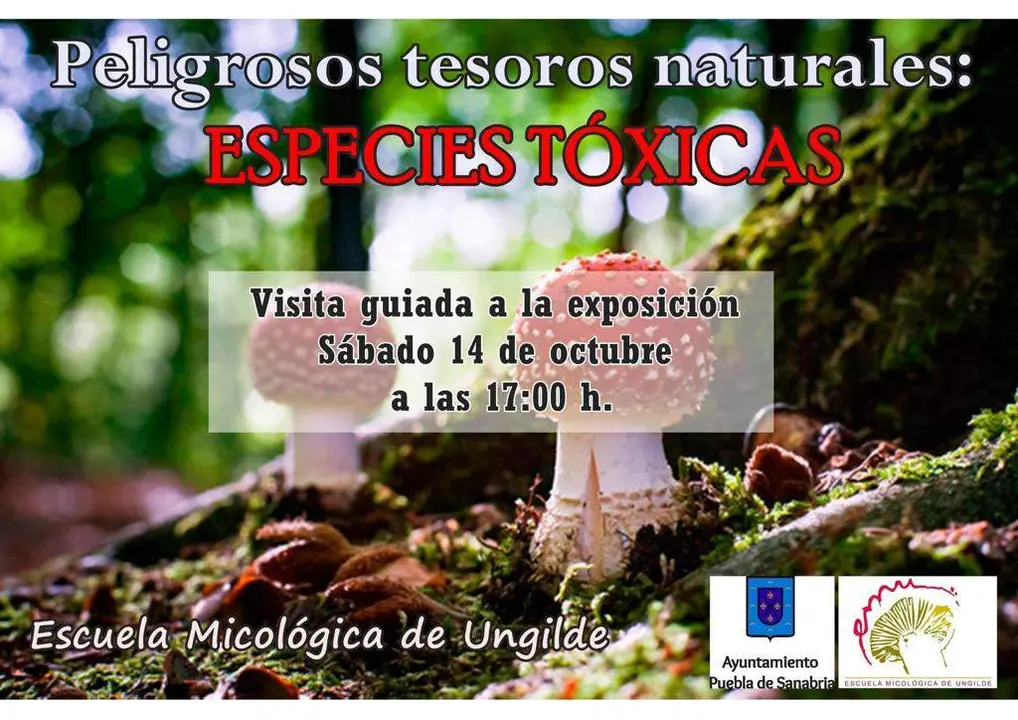 visita guiada