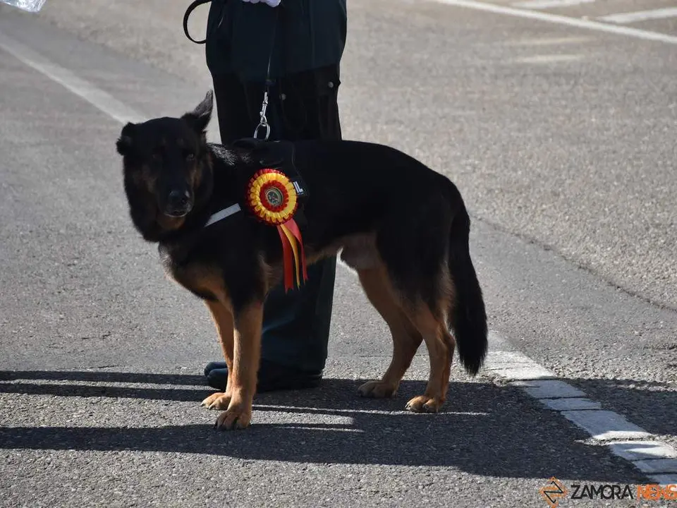 Ntra,Sra. del Pilar. La Hispanidad_58