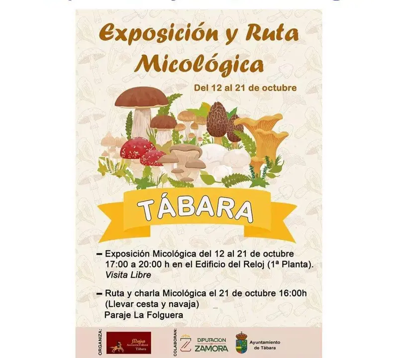 Exposición micológica de Tabara