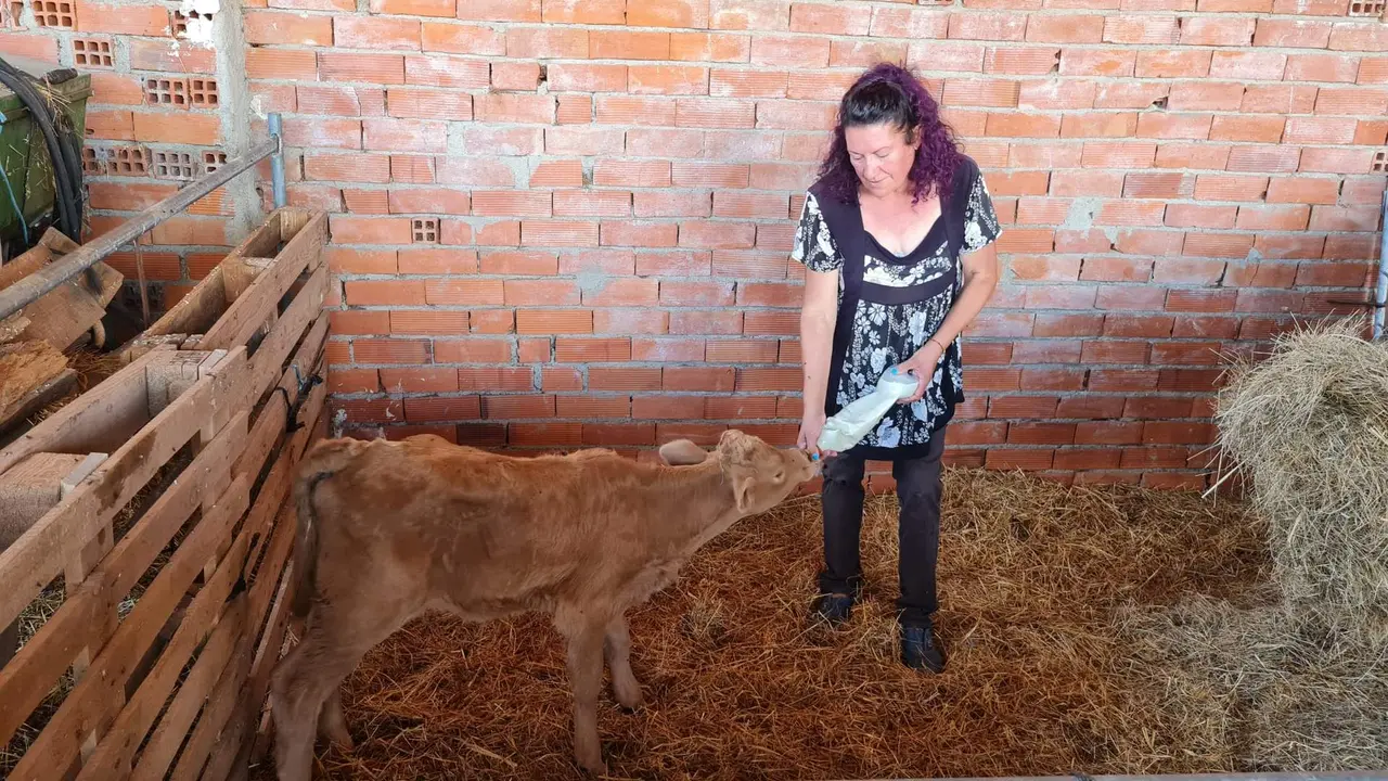 Maruja con uno de los terneros de la explotación familiar en Arcillo. Fotografía: CEDIDA