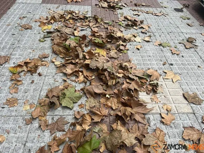 Otoño