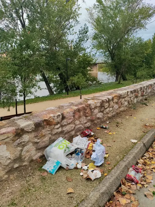Basura entrepuentes (2)