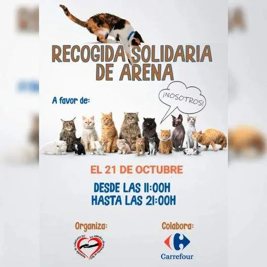 Gran recogida de arena