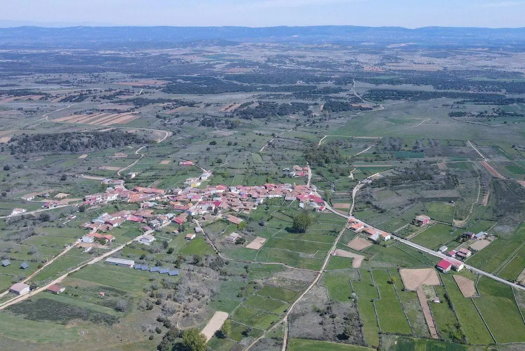 Grisuela