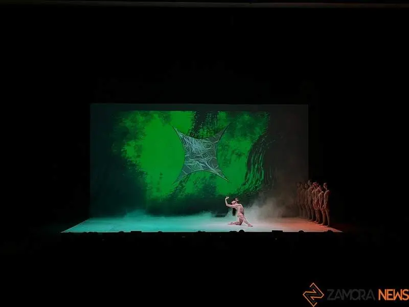 Danza contemporánea _3