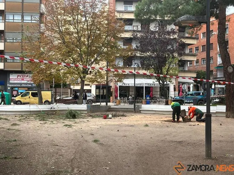 Trabajadores en Zamora 