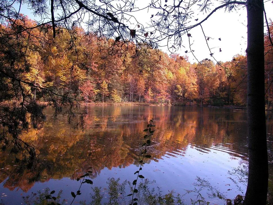 El Parque Estatal Seneca Creek donde se rodó la Bruja de Blair