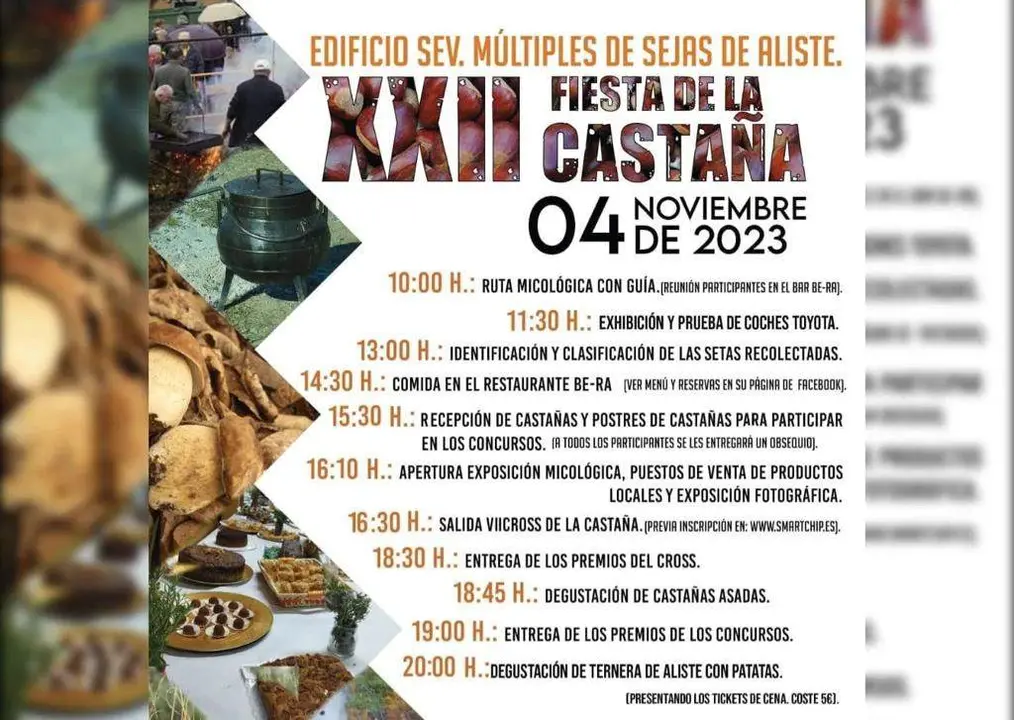 cartel fiesta de la castaña en Sejas de Aliste