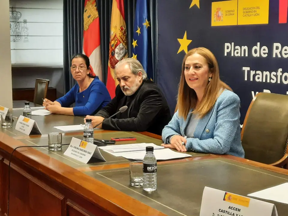 Delegada del Gobierno en Castilla y León, Virginia Barcones