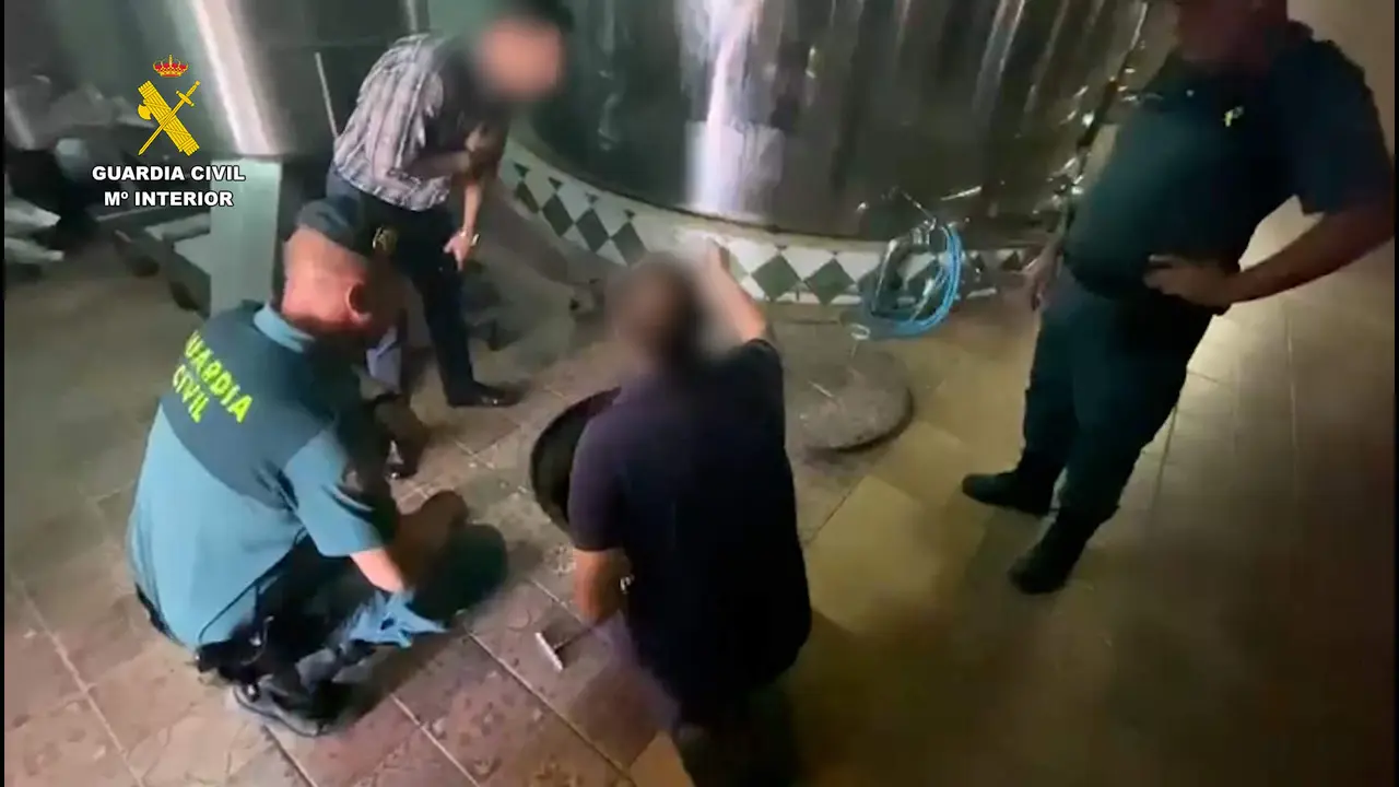 Robo de aceite de oliva. Fotografía: Guardia Civil