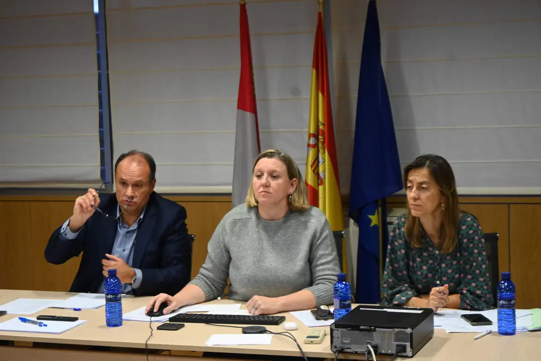Reunión telemática con el Ministerio por la crisis migratoria
