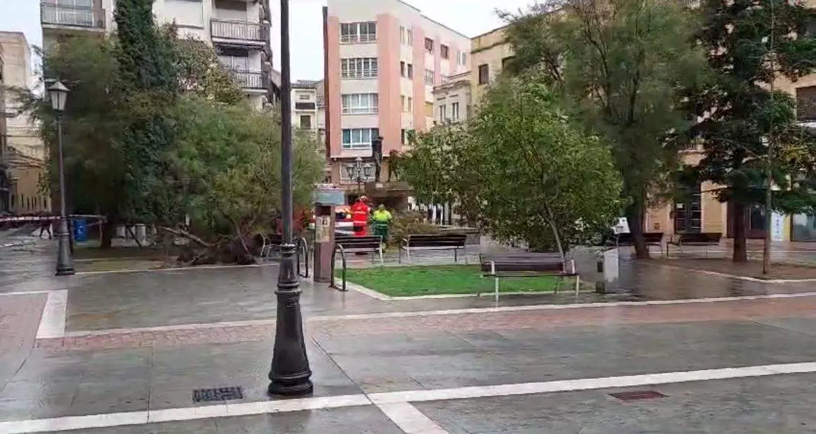 plaza Maestro Haedo, cortada por fuertes vientos