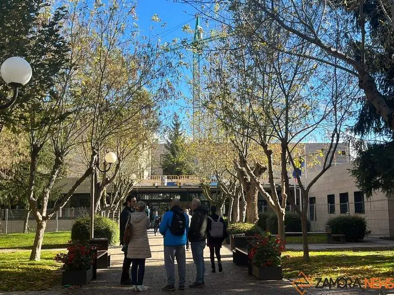 Instituto María de Molina de Zamora 