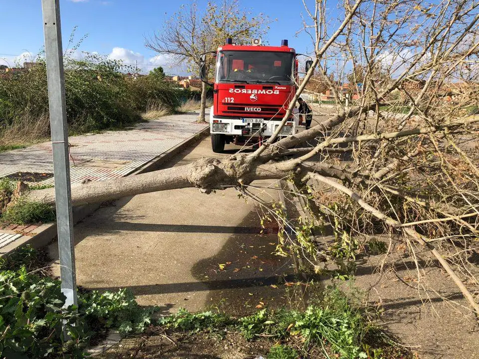 Actuación de los Bombero de Benavente sobre una de las carreteras