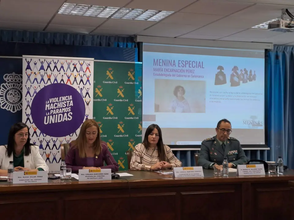 presentación Menina especial